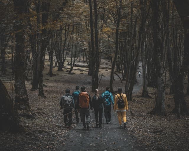 Let Nature Heal You